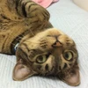 に胡の母ちゃん