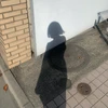 マコ
