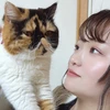 こもち