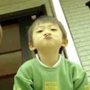 ひじき