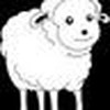 sheepsong55