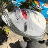 のん