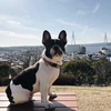 HANA