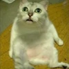 ろろ