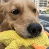 ドデカモフモフ