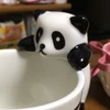 fujimorrr
