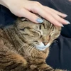 おさんぽ