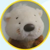 ぱこ
