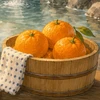 toyokawa-mikan