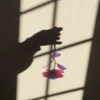 さめぴよ