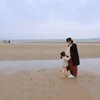 レバ刺し