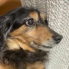れあ