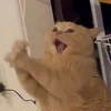 むっち