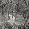 guruguru_1101