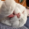ひひひひひ