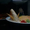 白川洋司