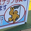 みかん