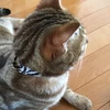 りんこ