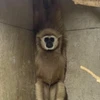 あ