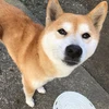 リオ