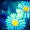 str