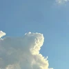 り