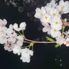 りほ