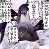 ほくほくころっけ