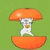 RYO