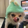 むむむ