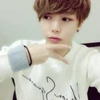 SHION