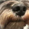 rie