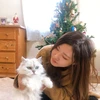 たなかさん