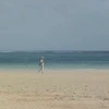 オクターヴ