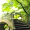 uchida