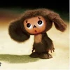 shebu
