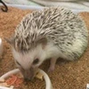 ゆーいち
