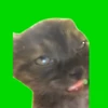 rnkg_57