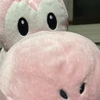 みょん