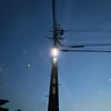 た