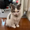 涙腺は緩い