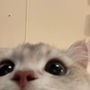 おくすす