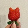 まお