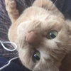 まち