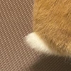 づん