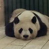 つるもく