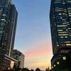 まさたん