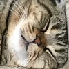 おにぎり店長