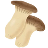 ぽぽ