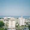 wa記録用